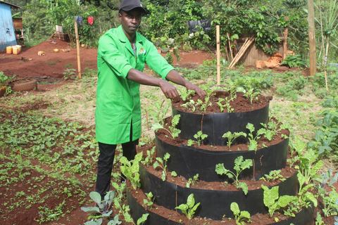 A farmer in a green coat tending vegetables growing in a tiered garden
