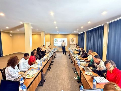 Participants seated along a conference table at the Sub-Saharan African Centre of Excellence in Arusha, Tanzania